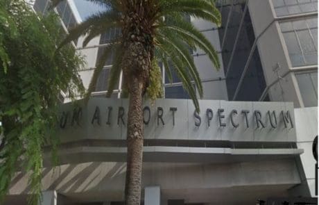 Palm tree in front of Airport Spectrum building.